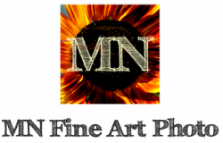 MN Fine Art Photo l Photography by Melissa Niederkorn